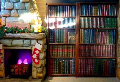 Fireplace-&-Library